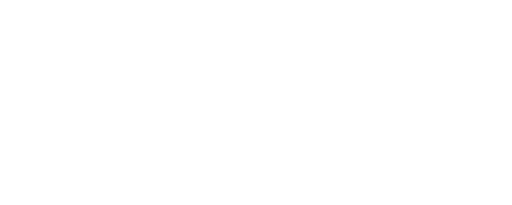 Skinwheel Agency SpA